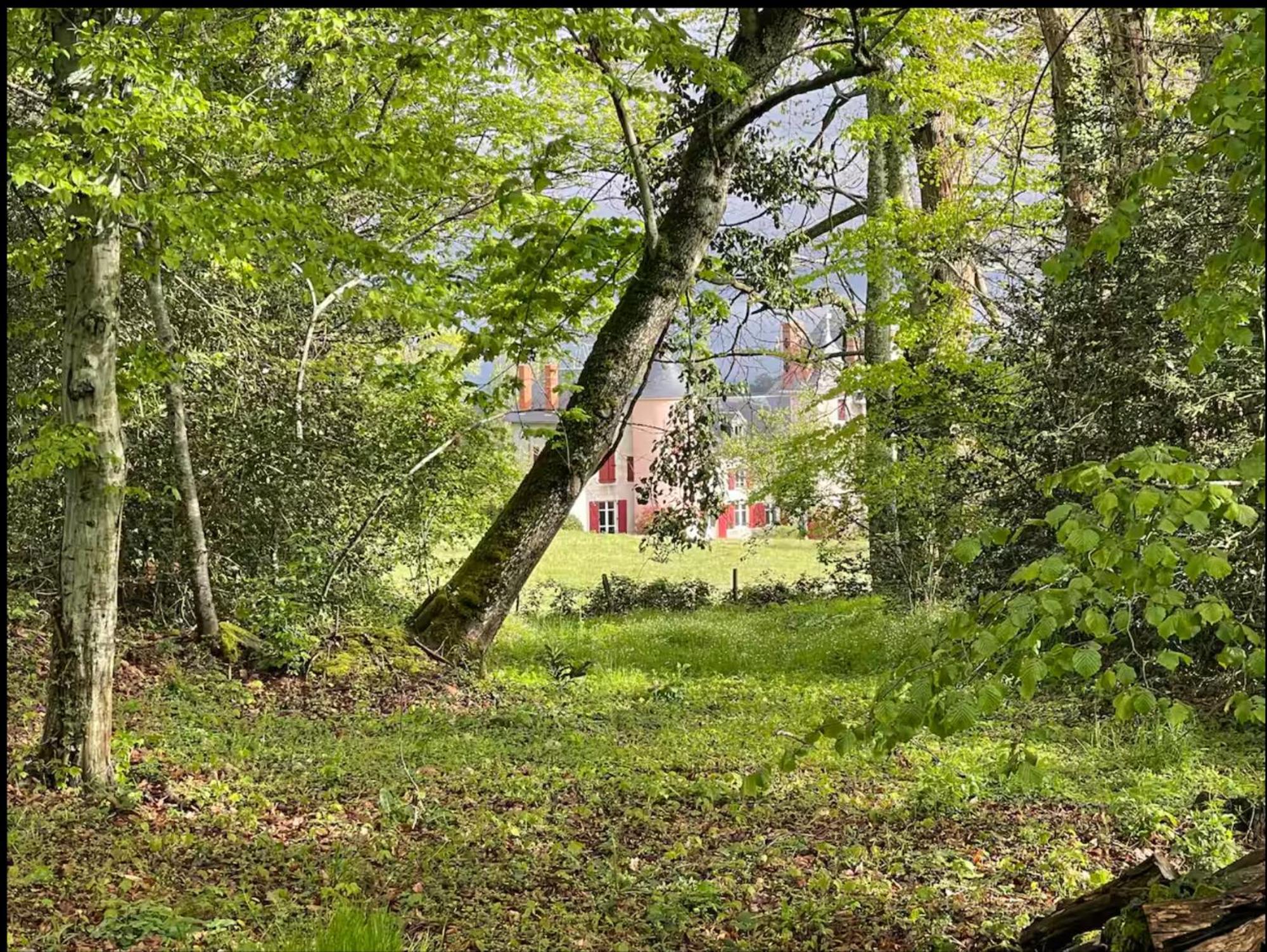 Chateau De La Combe La Celle  Exteriér fotografie