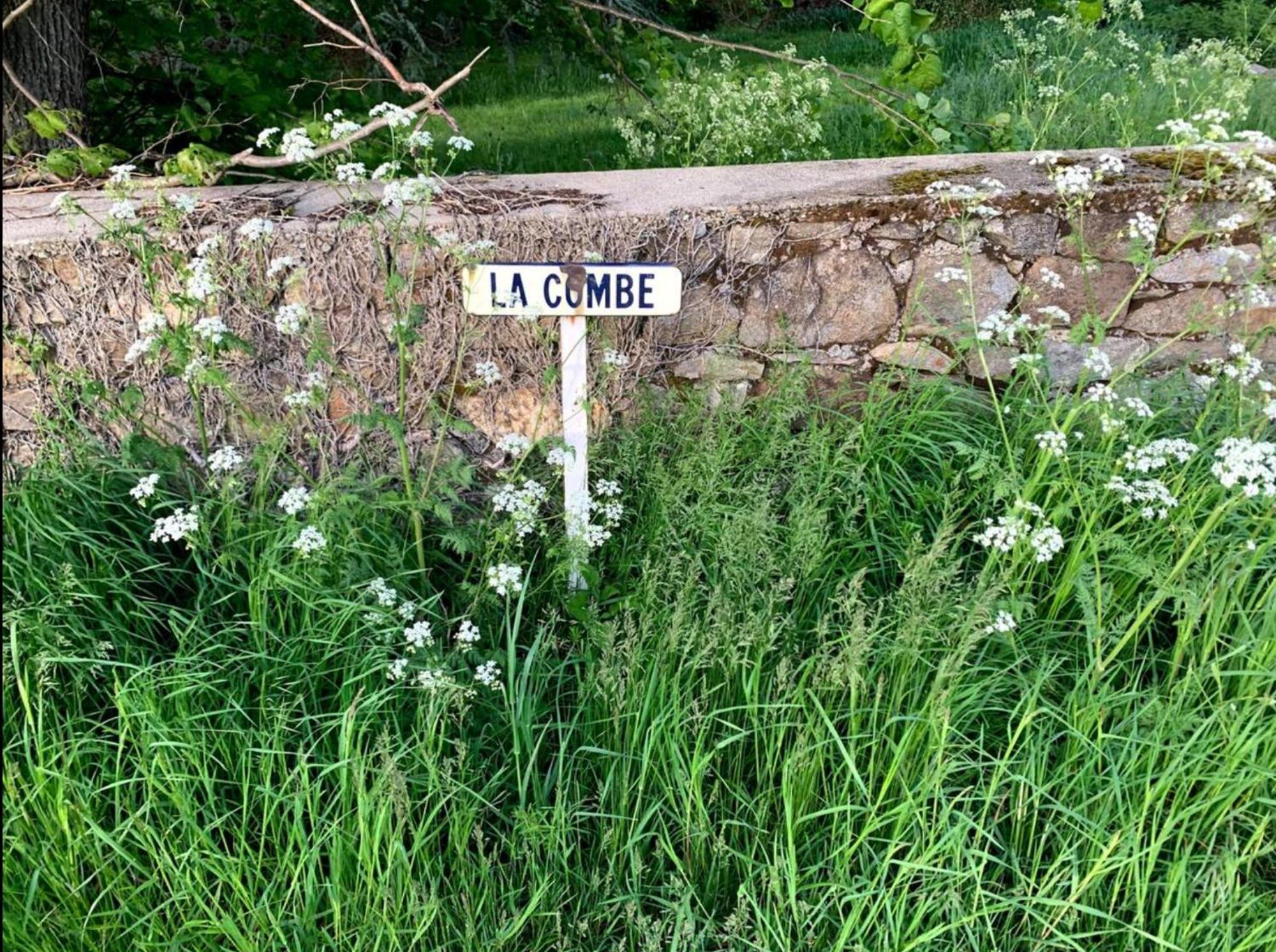 Chateau De La Combe La Celle  Exteriér fotografie
